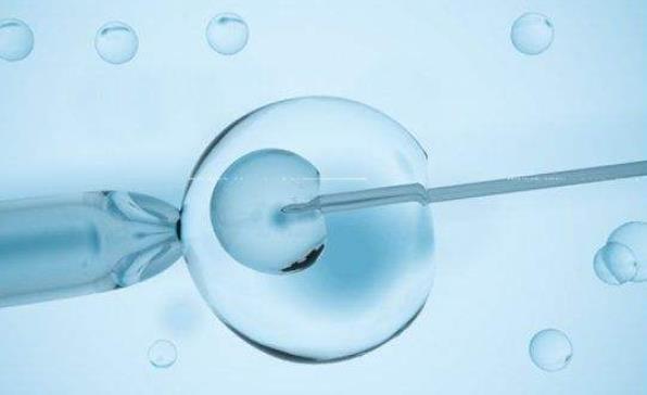 试管移植4aa囊胚孩子会有基因问题吗