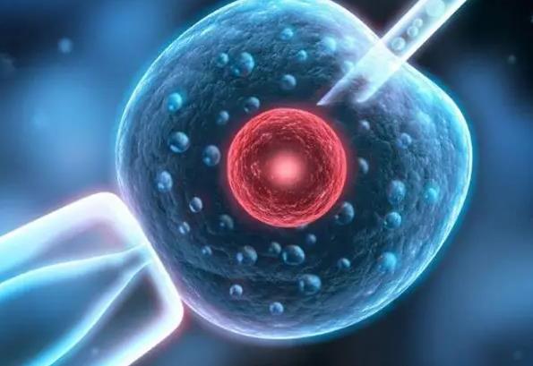 多囊卵巢试管婴儿的成功率是多少附上成功率介绍和提高的方法