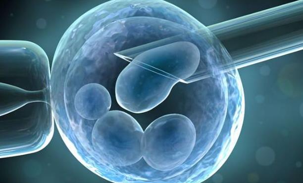 第三代试管婴儿常见的5种促排卵方案介绍