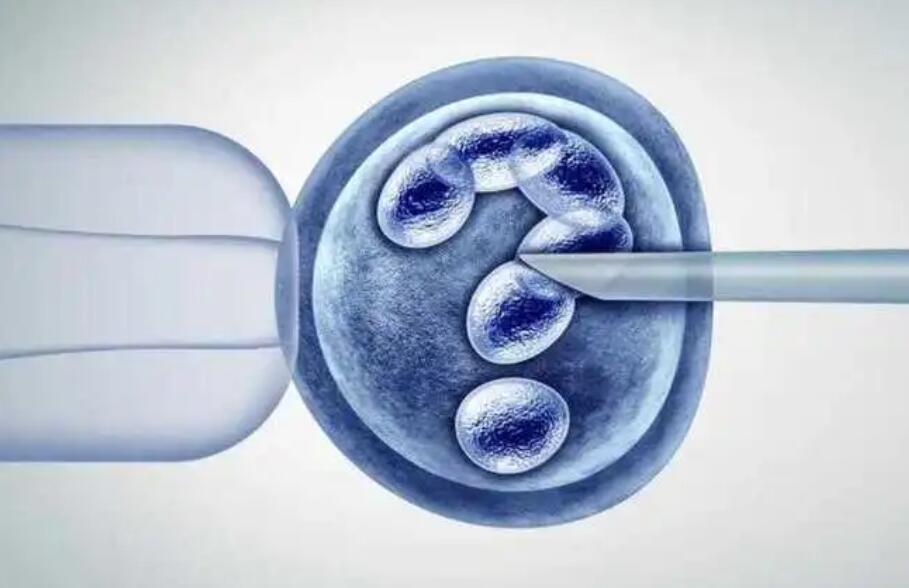 试管移植鲜胚也能怀双胎，分裂成双胞胎的几率值得了解