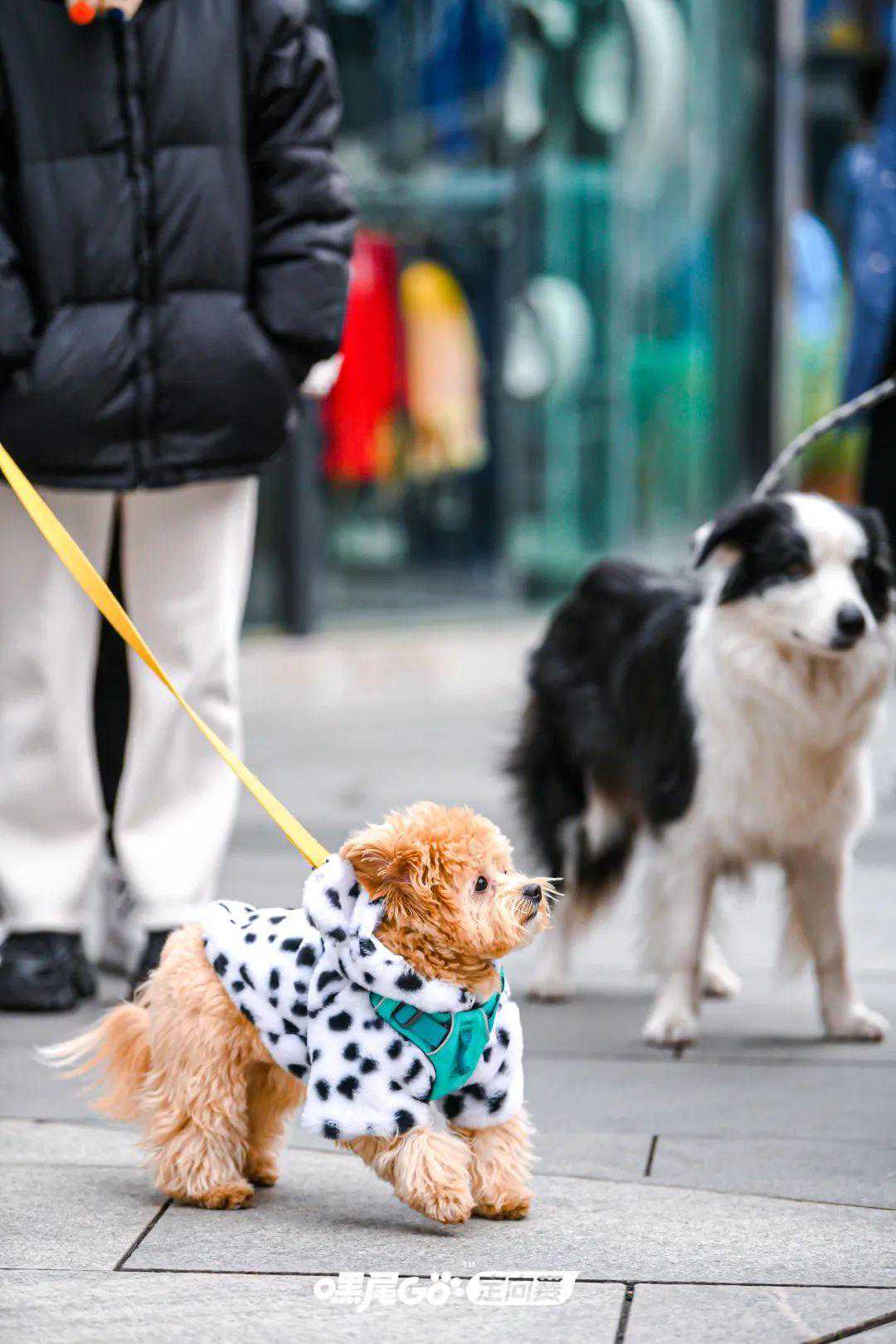 阅色 | 罗志祥人设崩坍始末：跟巨额商业损失比起来，当渣男真的不算事儿