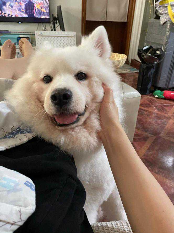 恩爱夫妻难白头？五条事实让人唏嘘