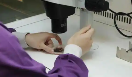 盘点国内女演员中的经典“酒窝”美女,这才是一代人心中的女神! 盘点国内女演员中的经典“酒窝”美女,这才是一代人心中的女神!