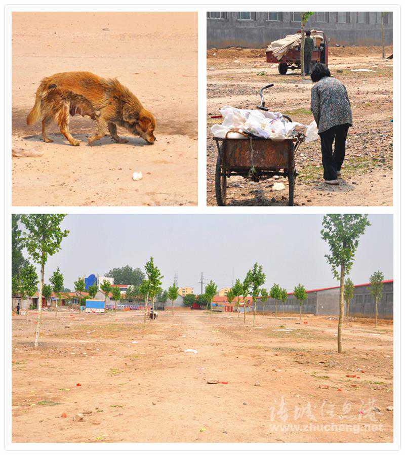 惊人真相！行善背后竟隐藏着改变命运的密码