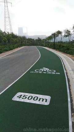 旺家有术：养这些鸟让好运连连！