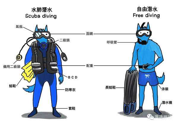 《女孩出生最佳时辰》