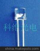 风生水起：养什么植物可以提升您的运势？