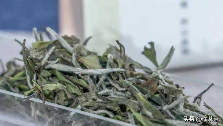 生肖本命位与流年风水吉凶