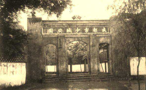 一只鹦鹉撞向玻璃，头歪鼻出血，不到10分钟便一命呜呼！咋回事？