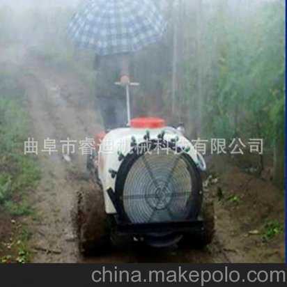 为什么有些人的鼻毛，会长到戳出来？