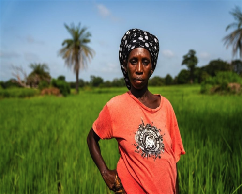 婚姻里对抗和冷战，消磨的是整个婚姻的运势，日子一定过不好