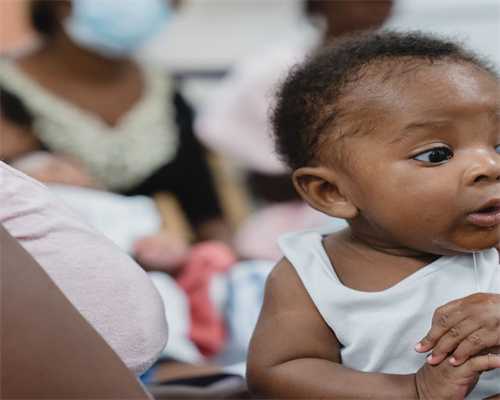 属兔之人蛇年运势解析：吉祥如意，福星高照