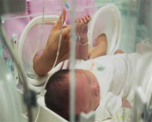 在2025年这个充满机遇和挑战的年份里，有四大生肖将运势飙升