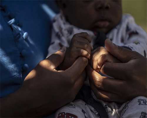 生肖猪处女座人生揭秘：在亥水微尘中构建完美量子生态