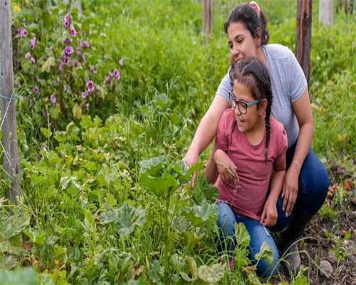 老祖宗留下的彩蛋：78年出生者2025运势玄机，看懂多赚三十年